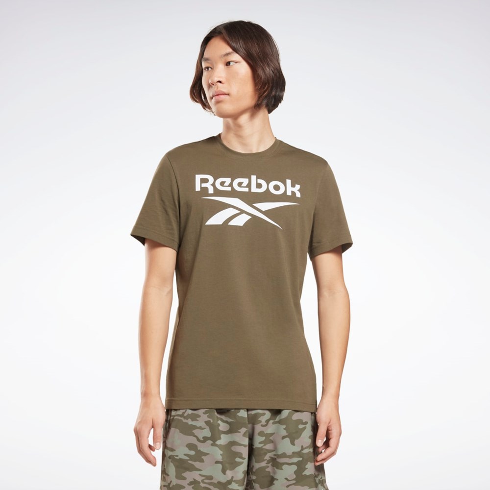 Reebok Reebok Identity Big Logo T-Shirt Verde | 84TZERFUD