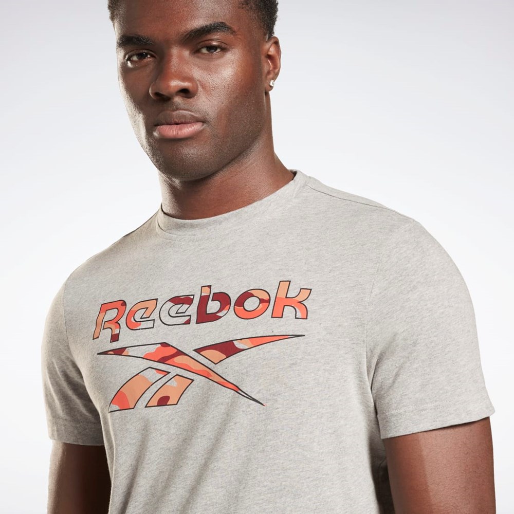 Reebok Reebok Identity Big Logo T-Shirt Gris | 92XCWBPJT