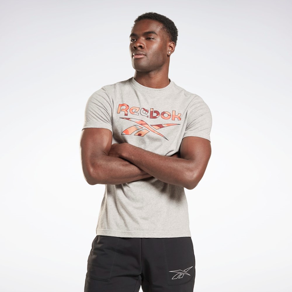 Reebok Reebok Identity Big Logo T-Shirt Gris | 92XCWBPJT