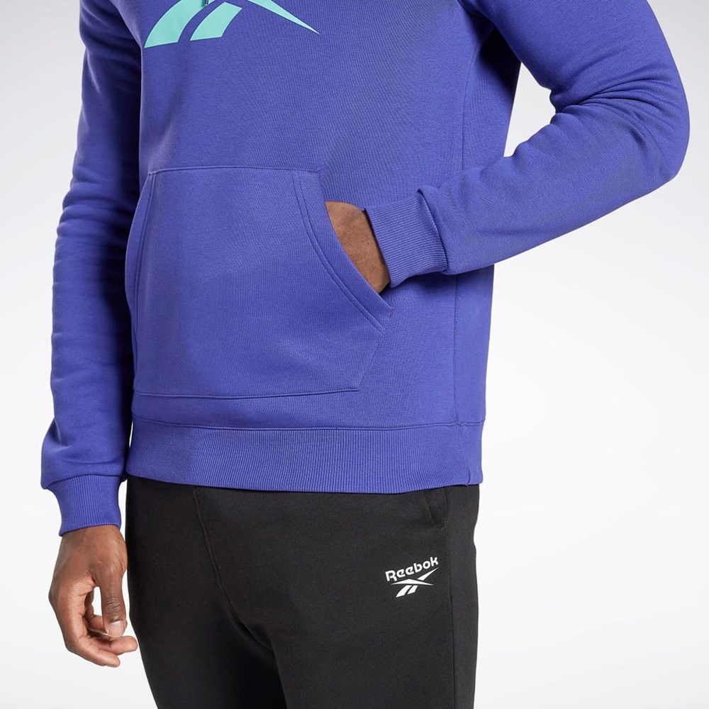 Reebok Reebok Identity Fleece Hoodie Moradas | 70XKHNPYR
