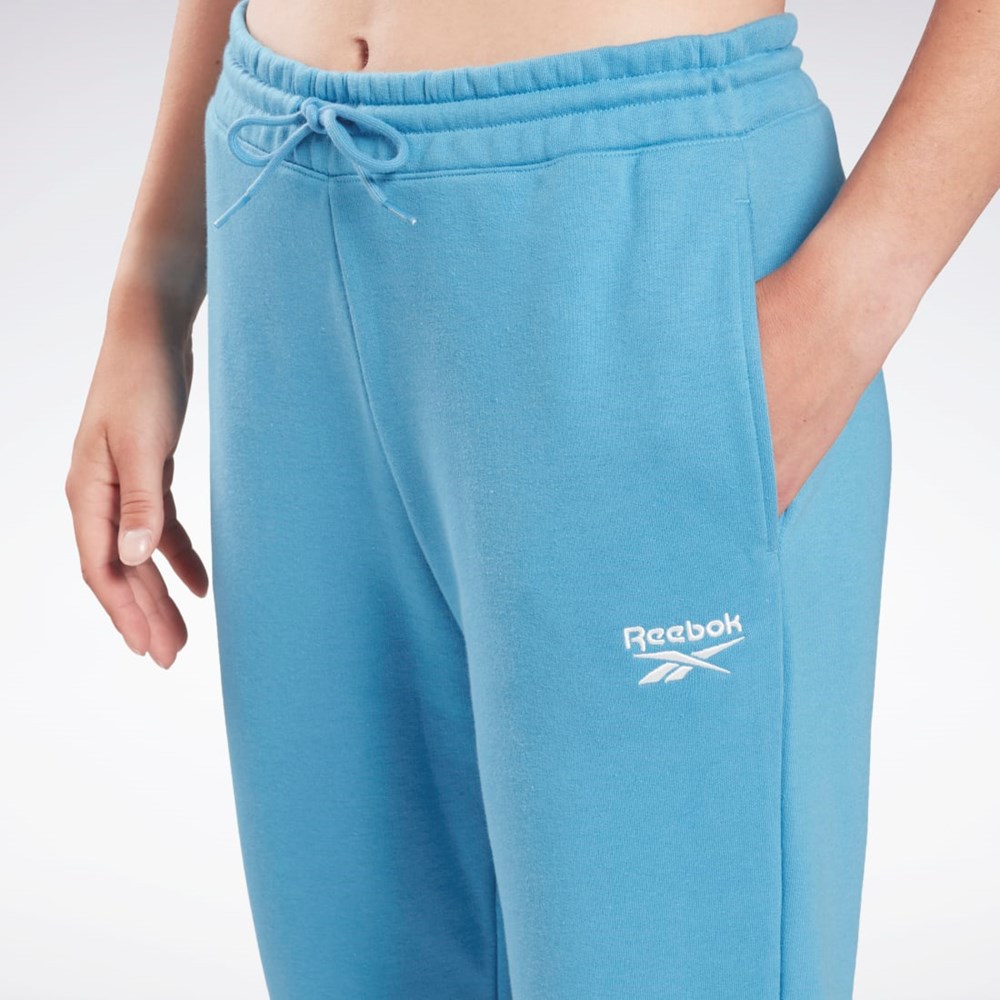 Reebok Reebok Identity French Terry Pants Azules | 35INDGFEB