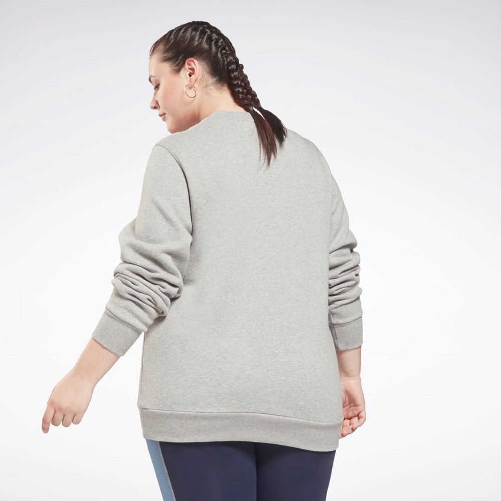 Reebok Reebok Identity Logo Fleece Crew Sweatshirt (Plus Size) Gris | 93VRSKXMG