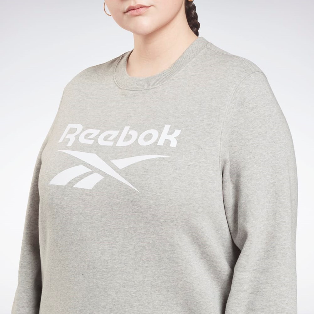 Reebok Reebok Identity Logo Fleece Crew Sweatshirt (Plus Size) Gris | 93VRSKXMG