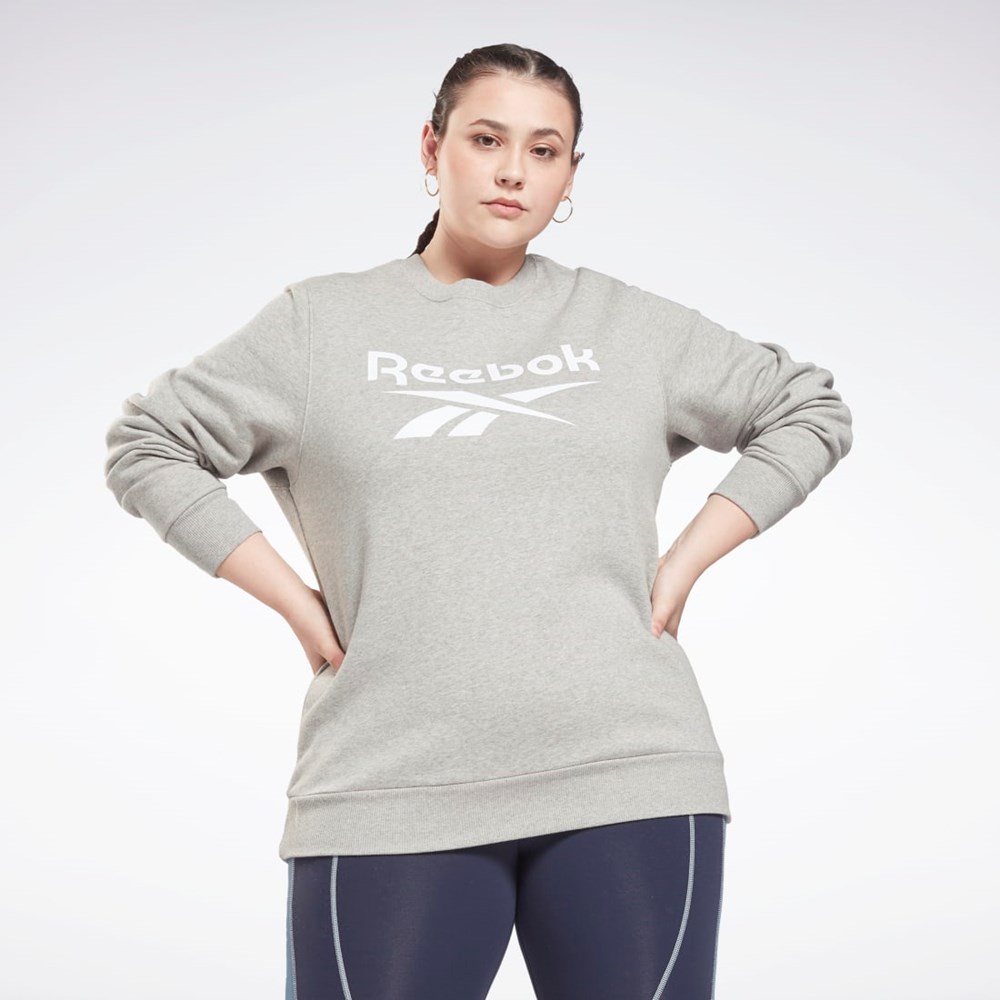 Reebok Reebok Identity Logo Fleece Crew Sweatshirt (Plus Size) Gris | 93VRSKXMG