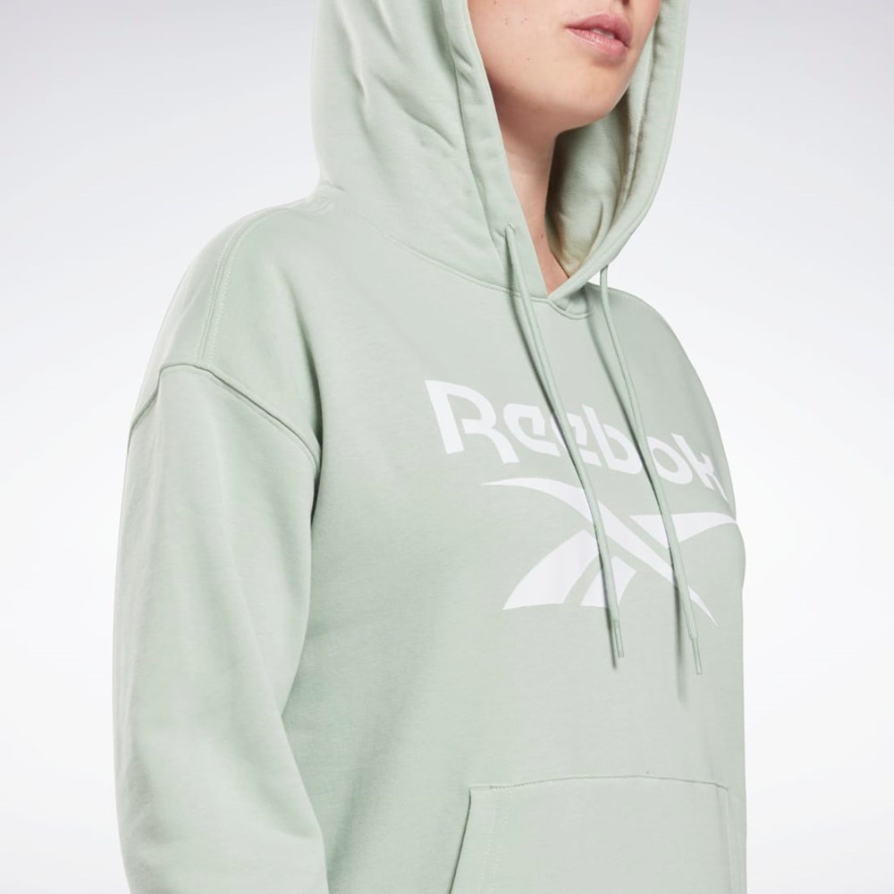 Reebok Reebok Identity Logo French Terry Hoodie Verde Menta | 76DUHATCL