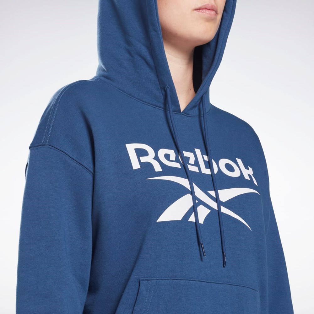 Reebok Reebok Identity Logo French Terry Hoodie Azules | 95JENWRVF