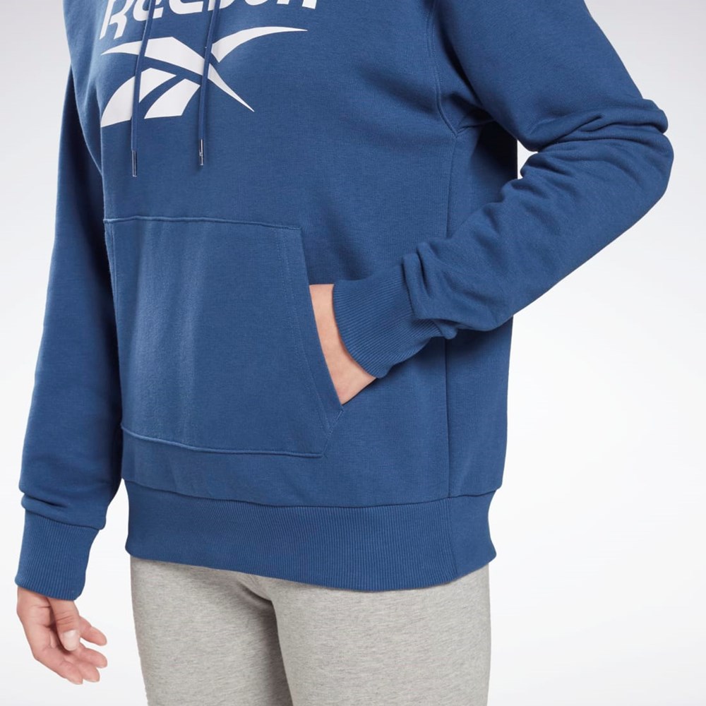Reebok Reebok Identity Logo French Terry Hoodie Azules | 95JENWRVF