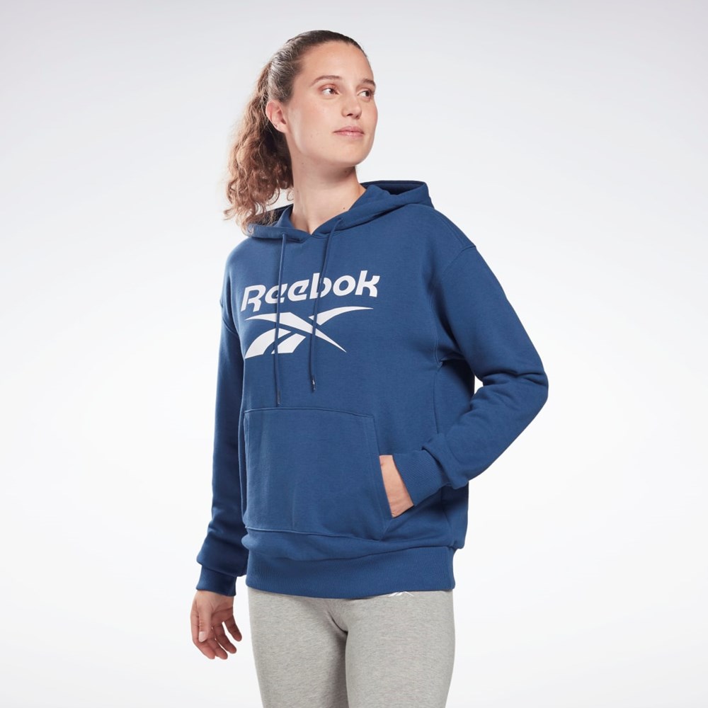 Reebok Reebok Identity Logo French Terry Hoodie Azules | 95JENWRVF