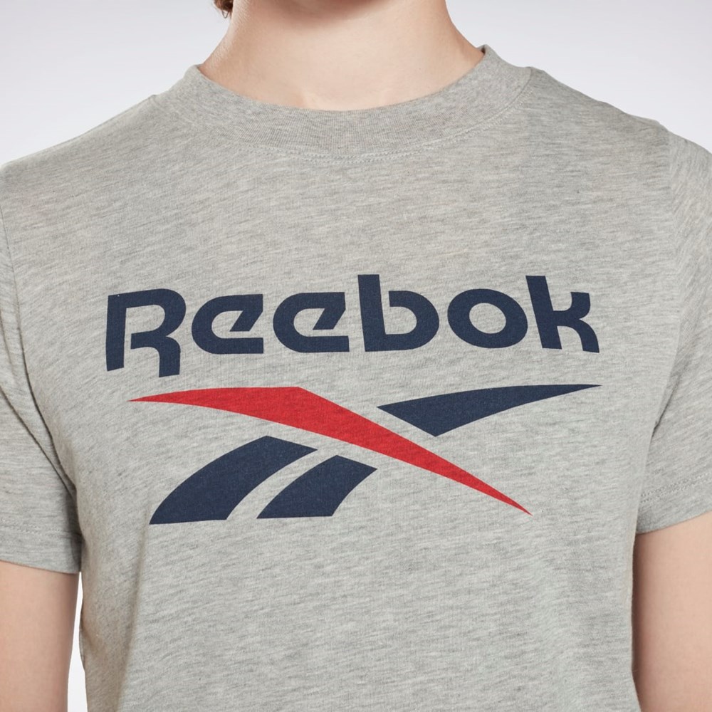 Reebok Reebok Identity Logo T-Shirt Gris | 02CMINSUE