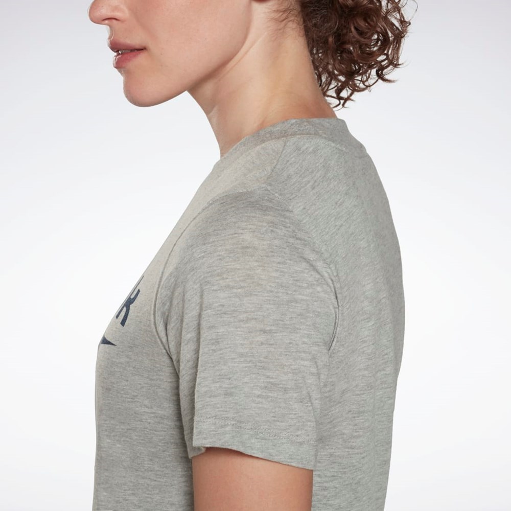 Reebok Reebok Identity Logo T-Shirt Gris | 02CMINSUE