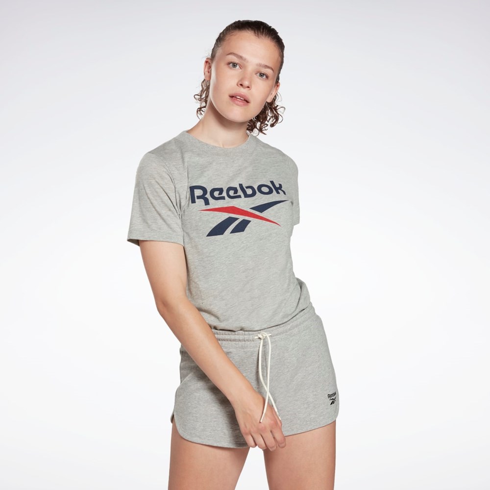 Reebok Reebok Identity Logo T-Shirt Gris | 02CMINSUE