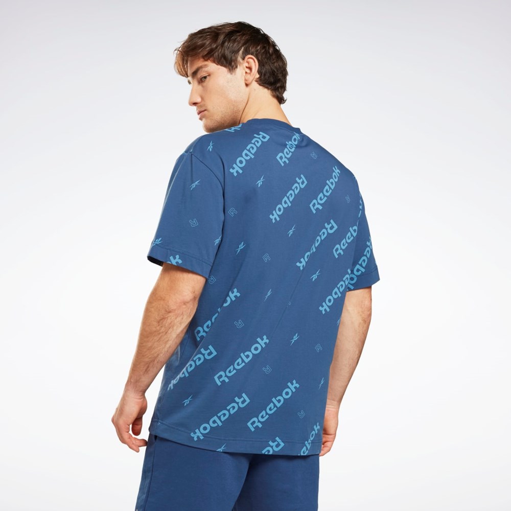 Reebok Reebok Identity T-Shirt Azules | 34UJZREXB