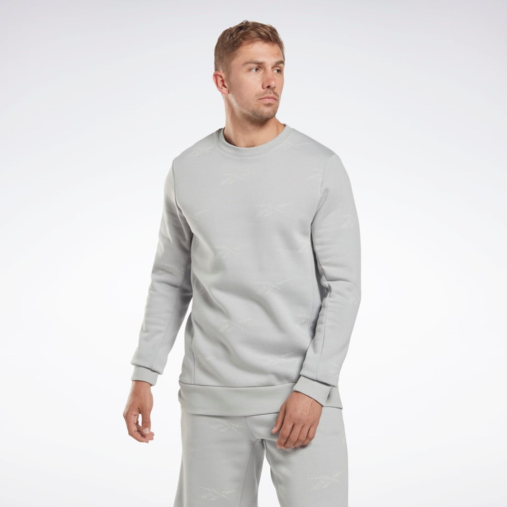 Reebok Reebok Identity Vector Fleece Crew Sweatshirt Gris | 51TNFXOJY