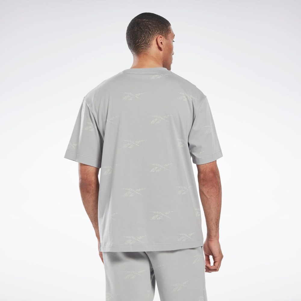 Reebok Reebok Identity Vector T-Shirt Gris | 78QCRJLYW