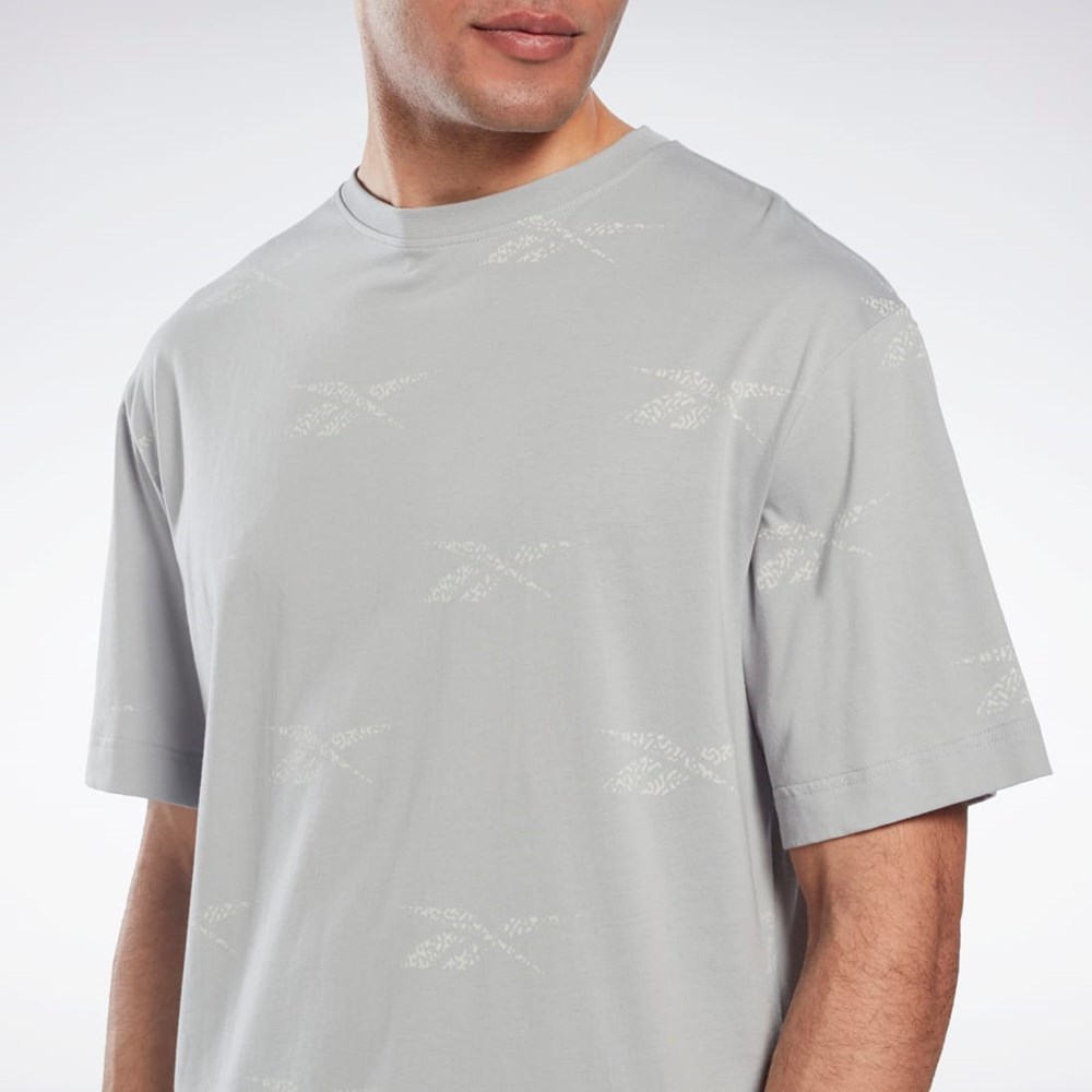 Reebok Reebok Identity Vector T-Shirt Gris | 78QCRJLYW