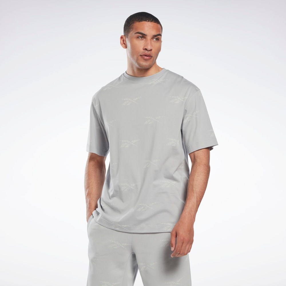 Reebok Reebok Identity Vector T-Shirt Gris | 78QCRJLYW