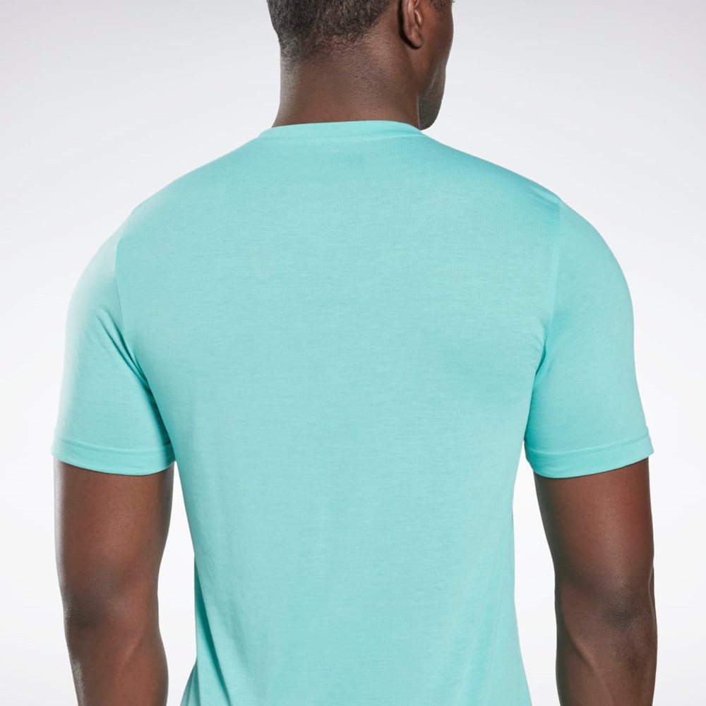 Reebok Reebok Life Is Not a Spectator Deporte Estampadas T-Shirt Semi Classic Teal | 90MSNBZIP