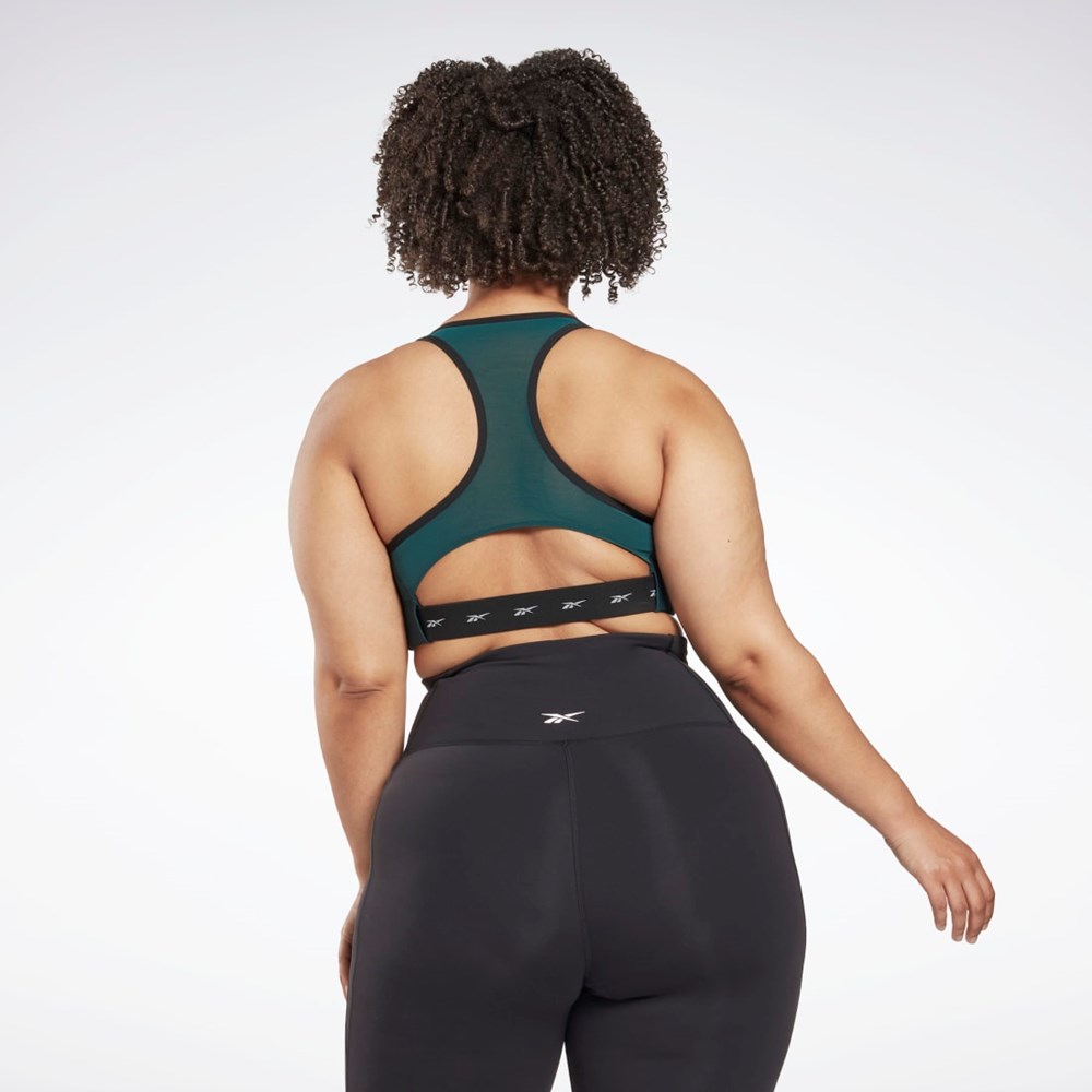 Reebok Reebok Lux Vector Racer Sports Bra (Plus Size) Verde | 75FGELROB