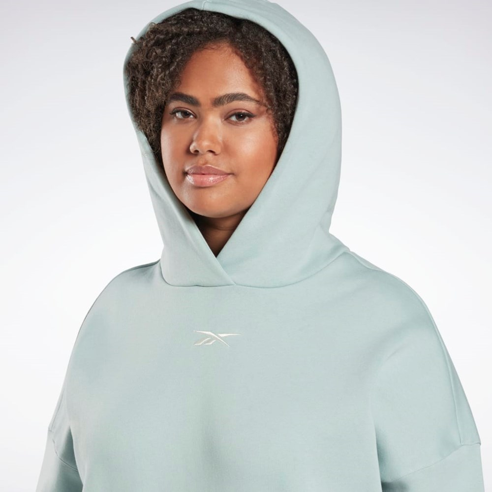 Reebok Studio Recycled Oversize Hoodie (Plus Size) Gris | 41WDVBZOP