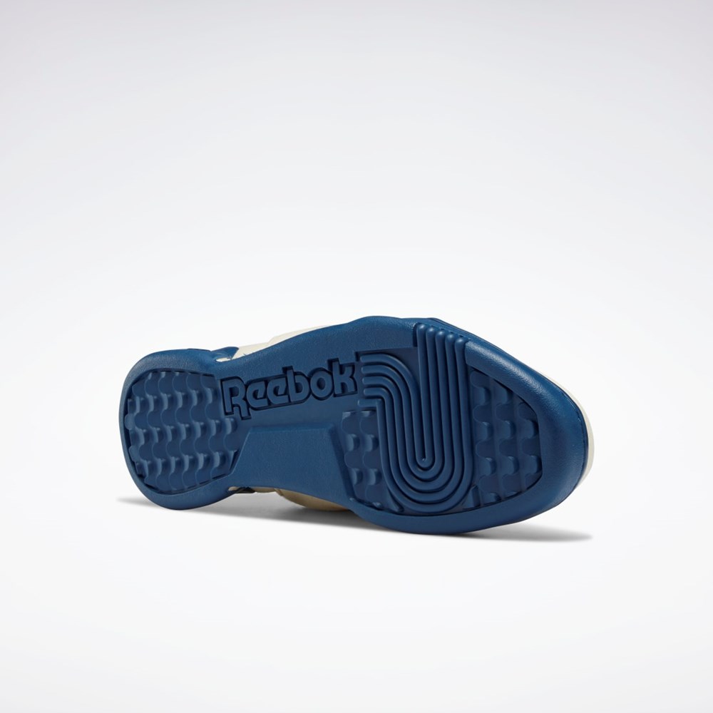 Reebok Workout Plus Shoes Azules | 50MWDTCUN