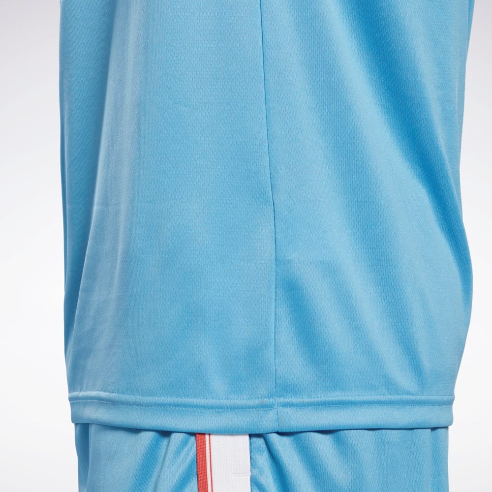 Reebok Workout Ready Mesh T-Shirt Azules | 07ZQBCEMF
