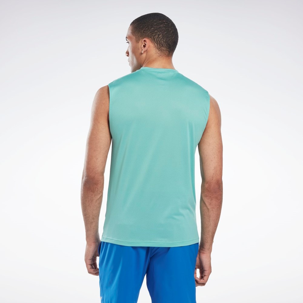 Reebok Workout Ready Sin Manga Tech T-Shirt Semi Classic Teal | 93GXTBWUP