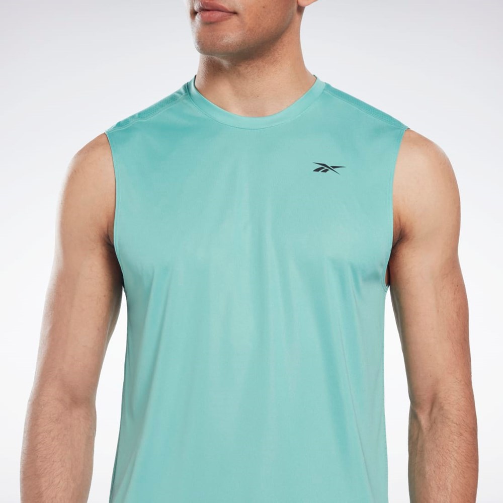 Reebok Workout Ready Sin Manga Tech T-Shirt Semi Classic Teal | 93GXTBWUP
