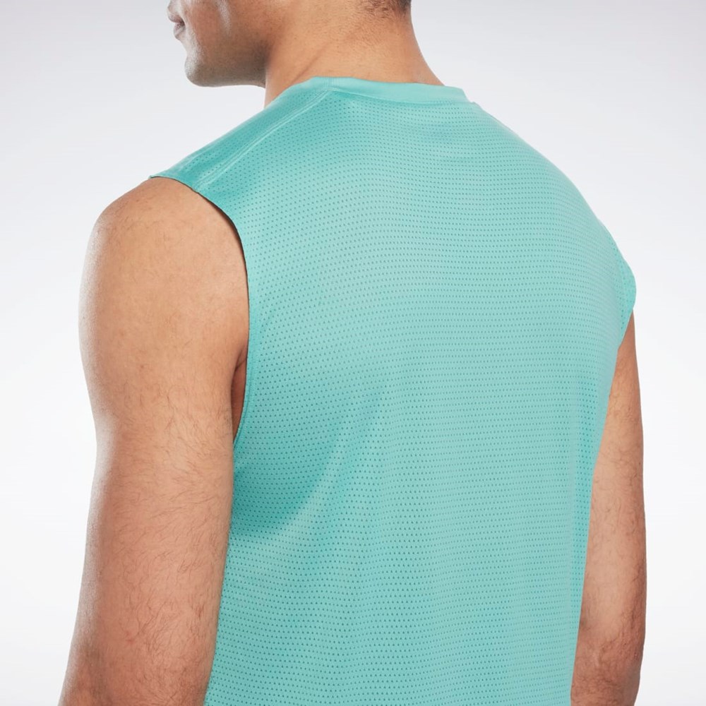Reebok Workout Ready Sin Manga Tech T-Shirt Semi Classic Teal | 93GXTBWUP