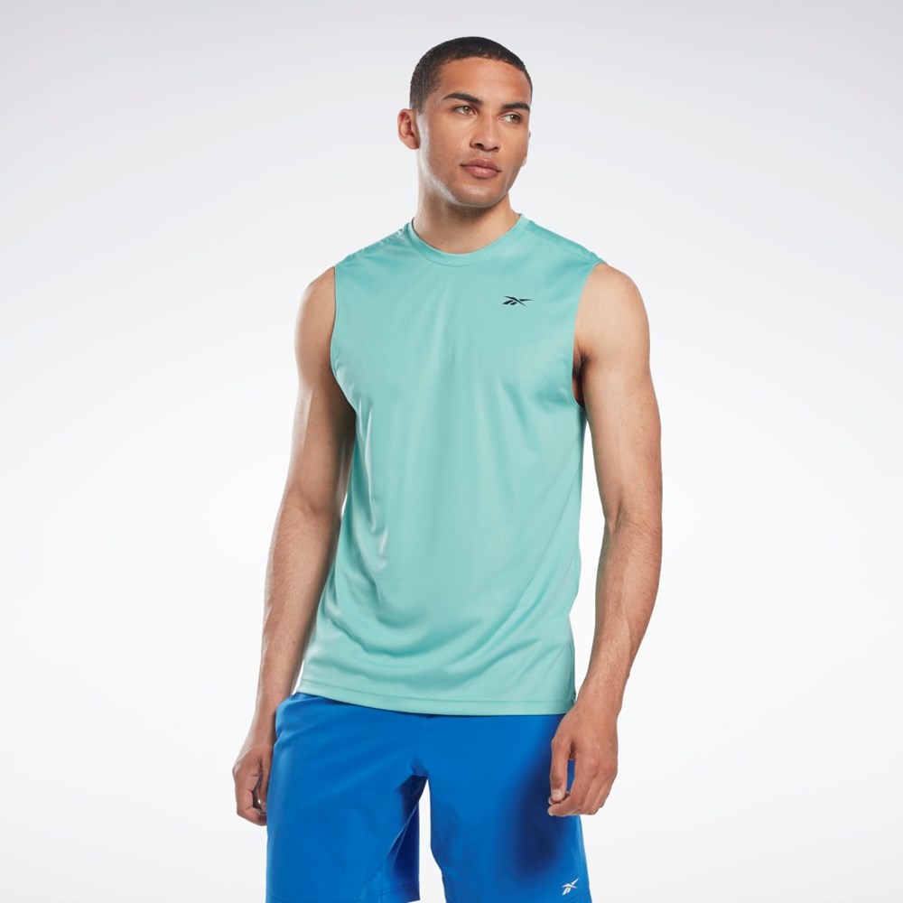 Reebok Workout Ready Sin Manga Tech T-Shirt Semi Classic Teal | 93GXTBWUP