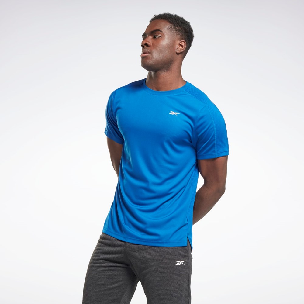 Reebok Workout Ready Tech T-Shirt Azules | 80GJAZBWR