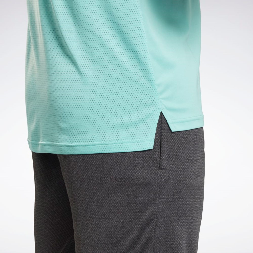 Reebok Workout Ready Tech T-Shirt Semi Classic Teal | 75FSCQYJU