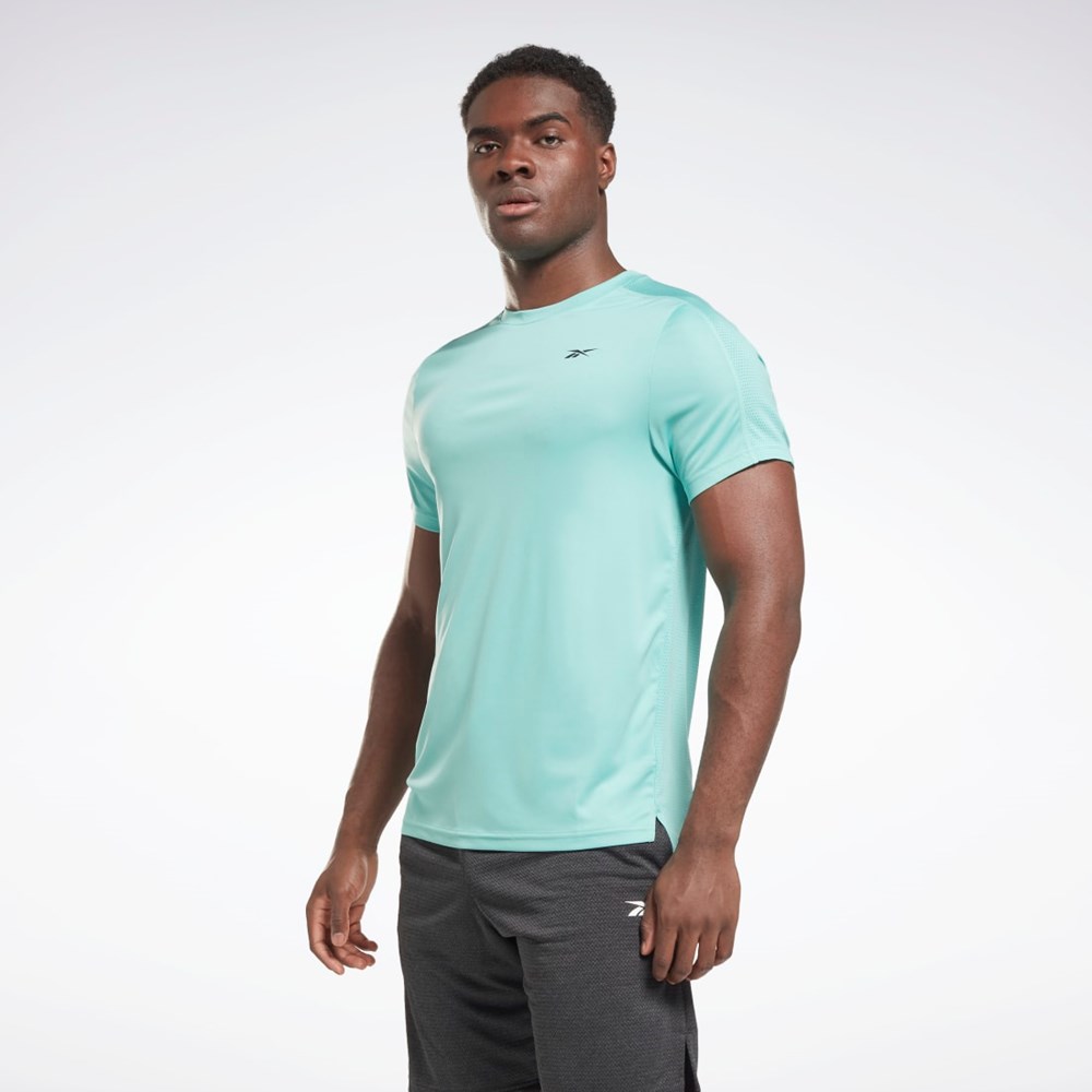 Reebok Workout Ready Tech T-Shirt Semi Classic Teal | 75FSCQYJU