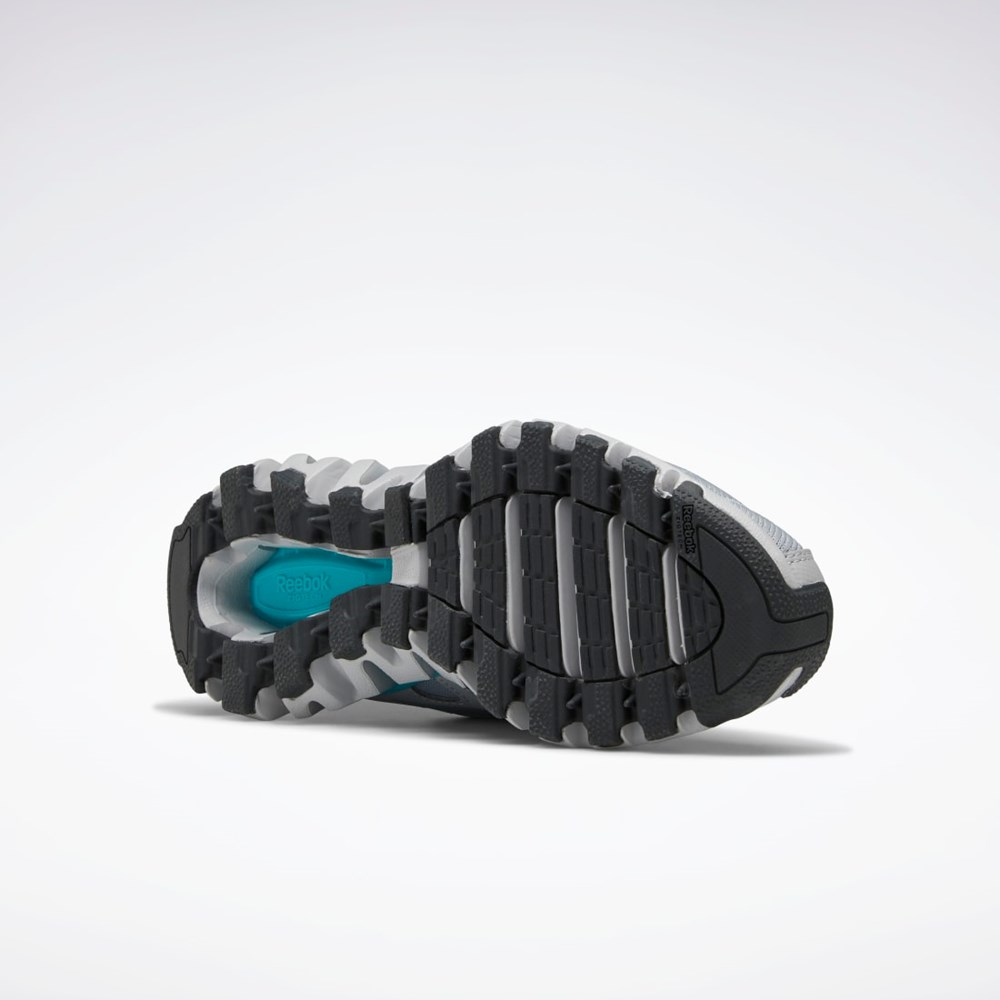 Reebok ZigWild Trail 6 Shoes Gris Gris | 19NEOZFRL