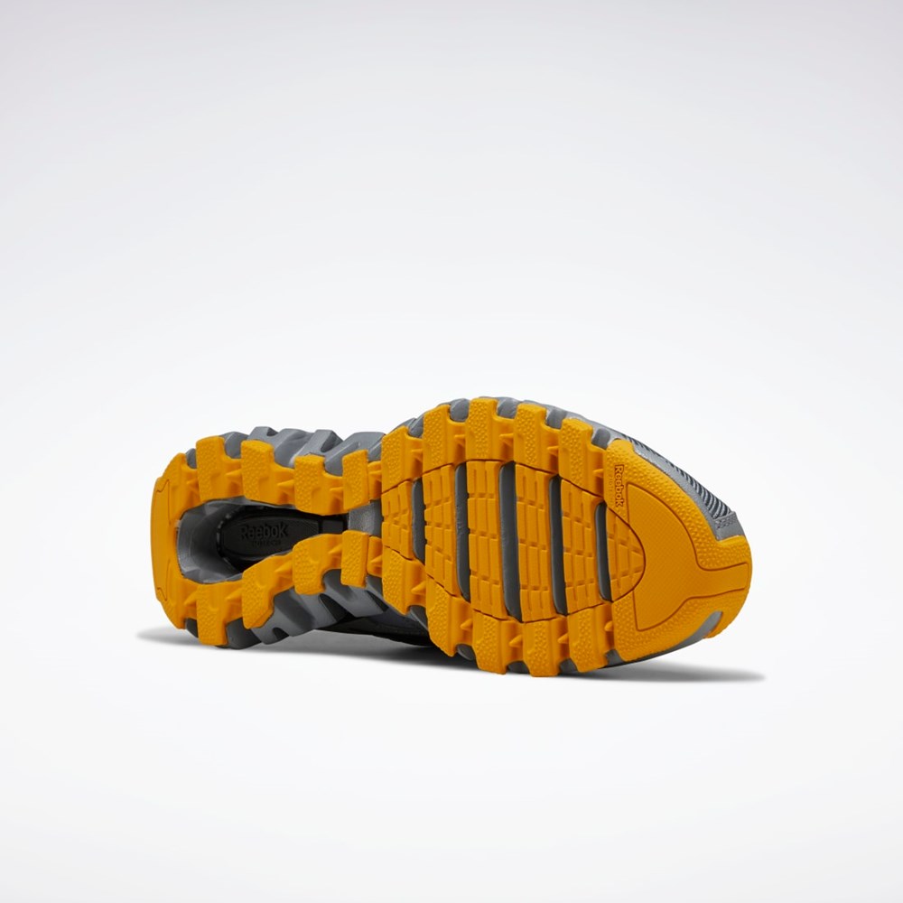 Reebok ZigWild Trail 6 Shoes Gris Gris | 63CRPMWSX