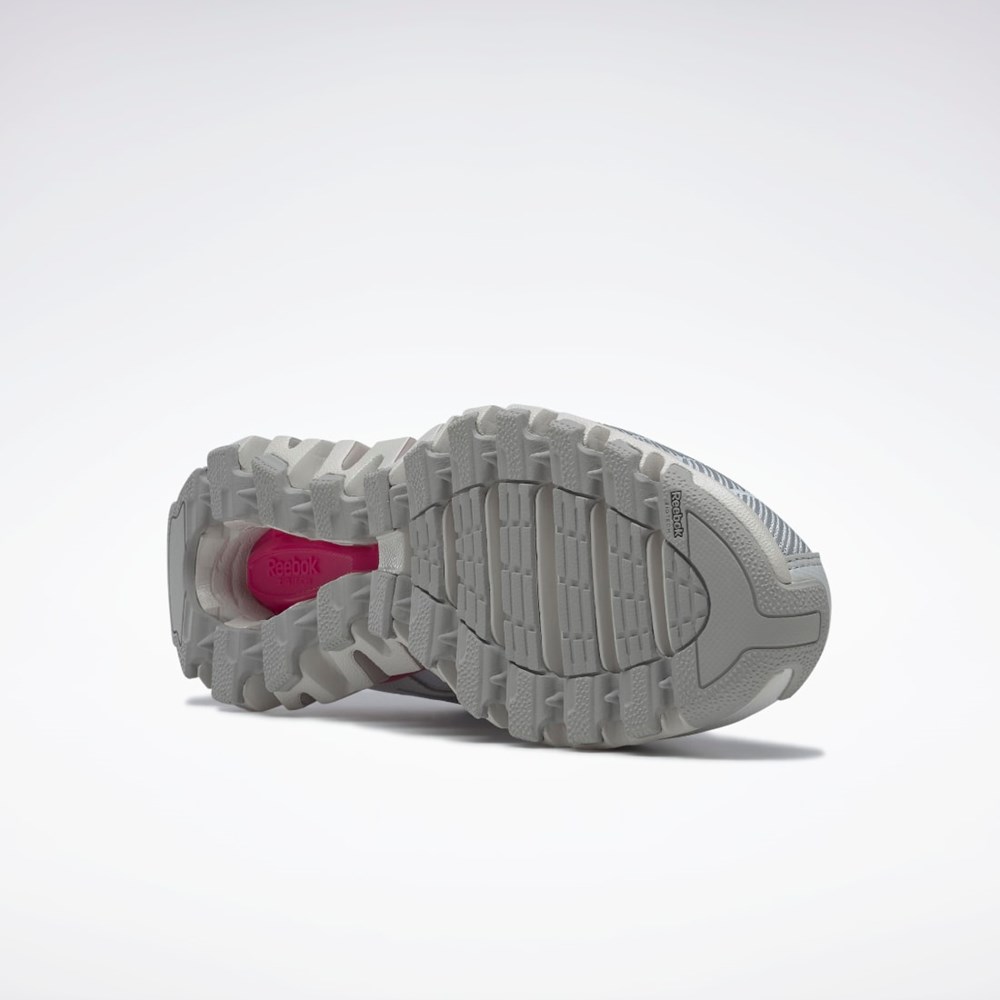 Reebok ZigWild Trail 6 Shoes Gris Gris Rosas | 06TEHCZBF