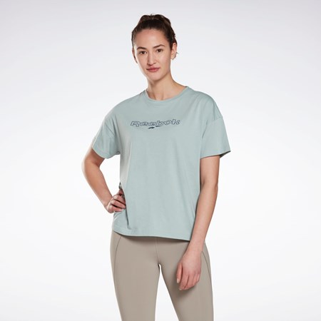 Reebok Brand T-Shirt Gris | 08HXJUIYF