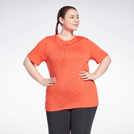 Reebok Burnout T-Shirt (Plus Size) Rojas | 17VTNAYEZ