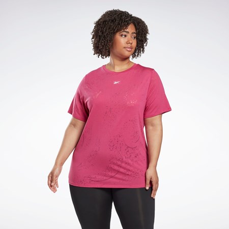 Reebok Burnout T-Shirt (Plus Size) Rosas | 97GYBNHCL