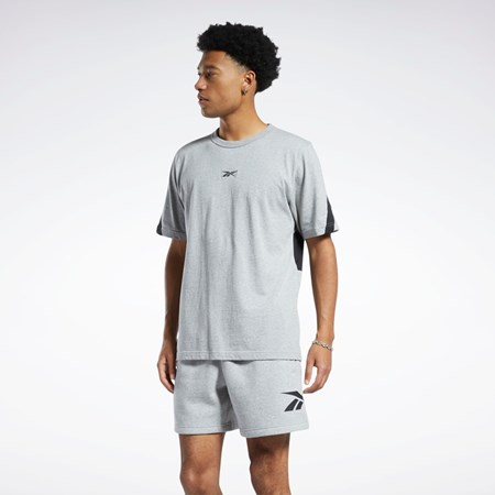 Reebok Classics Brand Proud T-Shirt Gris | 65IDGRHCV