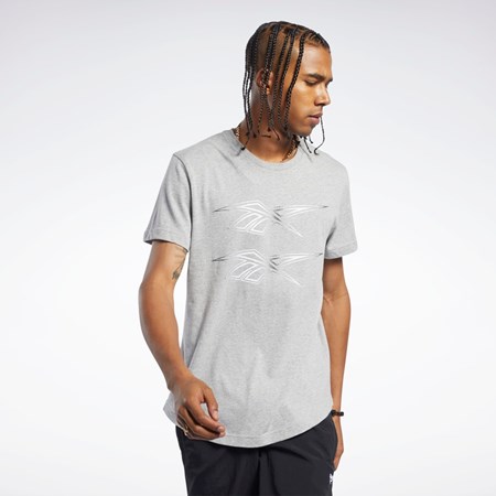 Reebok Classics Estampadas Tee Gris | 37RNSMPLZ