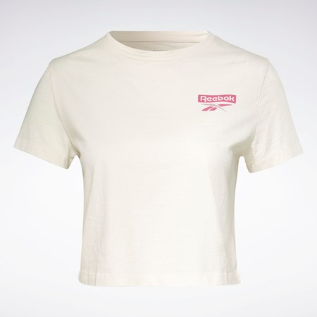 Reebok Entrenamiento Essentials Estampadas T-Shirt Blancas | 25ACZKLTV