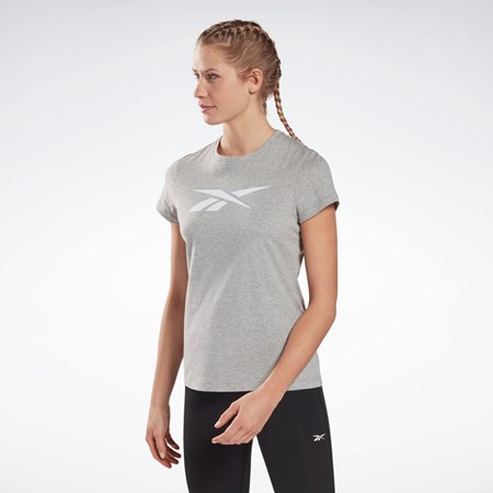 Reebok Entrenamiento Essentials Vector Estampadas Tee Gris | 19DBQSAPG
