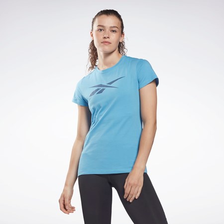 Reebok Entrenamiento Essentials Vector Estampadas Tee Azules | 63KLVHMYB