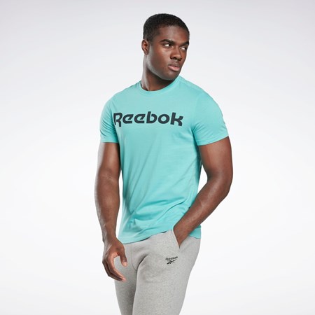 Reebok Estampadas Series Linear Logo Tee Semi Classic Teal | 16ZPDEWKI