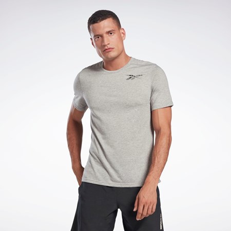 Reebok Estampadas Speedwick Move T-Shirt Gris | 54EMBYIUH