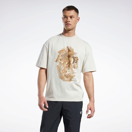 Reebok Jurassic World Fossil T-Shirt Stucco | 74LJKWPND