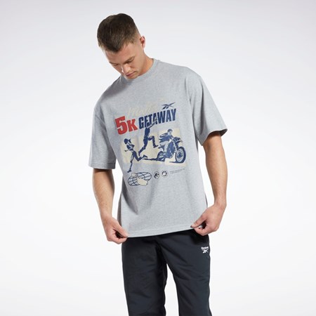 Reebok Jurassic World T-Shirt Gris | 67CJFZDBA
