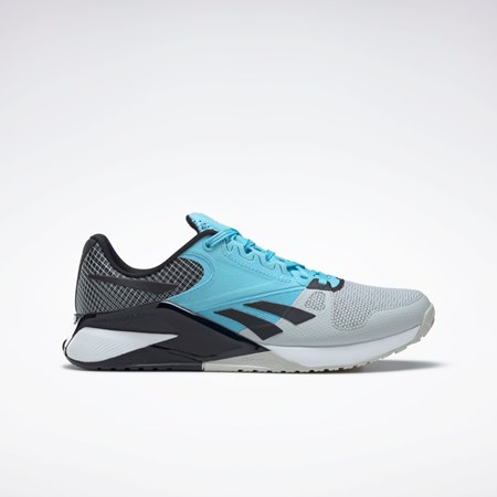 Reebok Nano 6000 Entrenamiento Shoes Gris Azules Negras | 10RYJQAXK