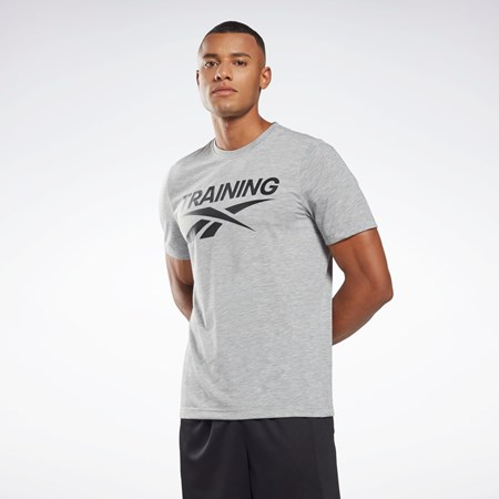 Reebok Reebok Estampadas Series T-Shirt Gris | 02CDGPJYF