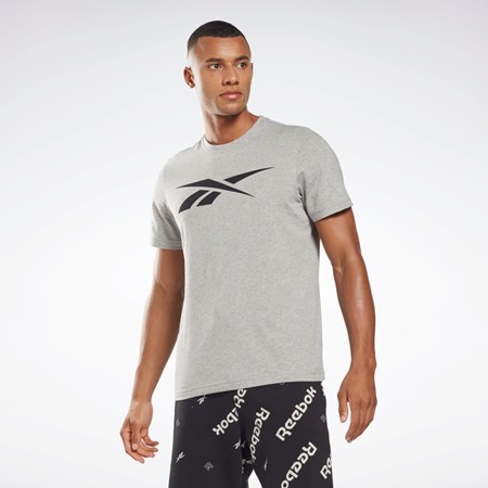 Reebok Reebok Estampadas Series Vector T-Shirt Gris | 40DAULENP